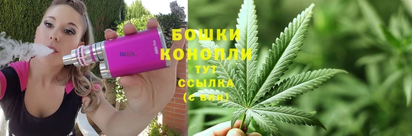 гидра Бердск