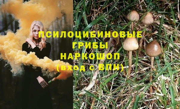 бутират Алзамай