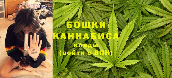 крисы Осинники