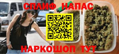 дурь Кингисепп