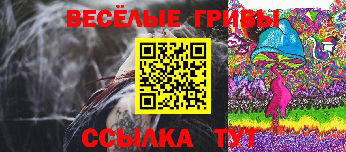 Краснознаменск  Галлюциногенные грибы GOLDEN TEACHER  Вход с VPN 
